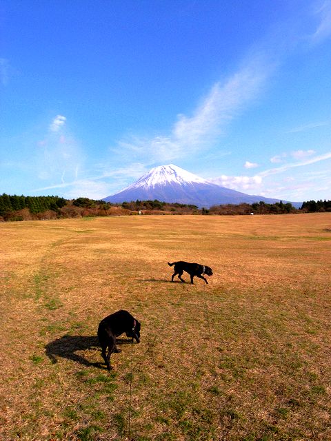 a0093592_22515459.jpg