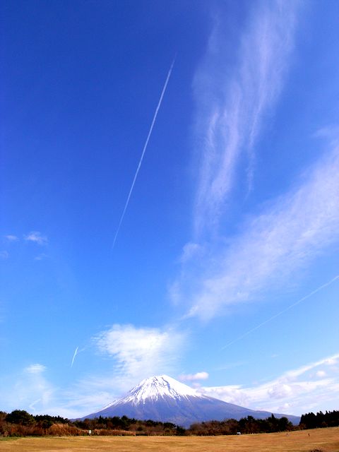 a0093592_22532023.jpg
