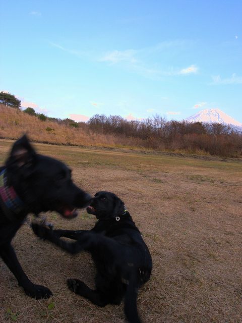 a0093592_2391771.jpg