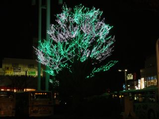 f0130894_2201026.jpg