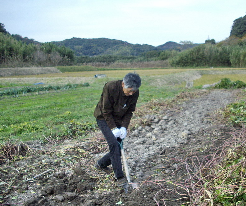 c0138198_1327514.jpg