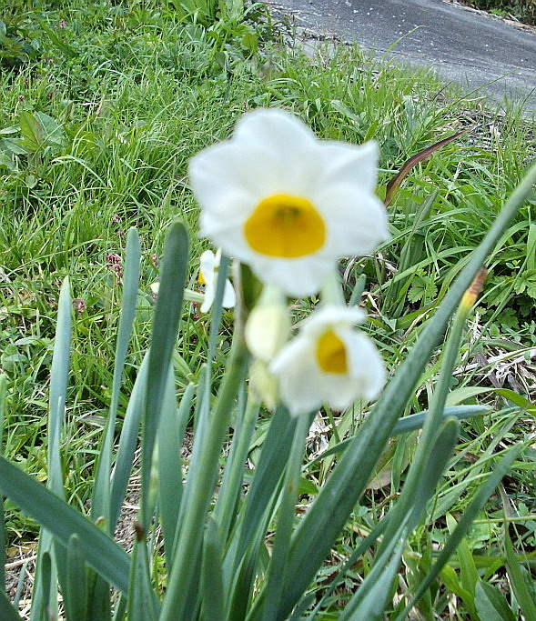 c0138198_14155983.jpg