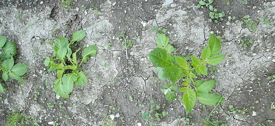 c0138198_14192076.jpg
