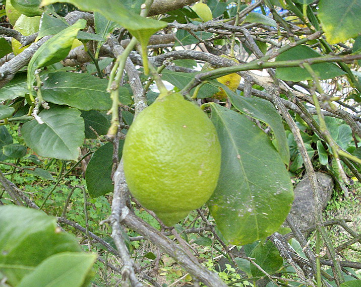 c0138198_14243938.jpg