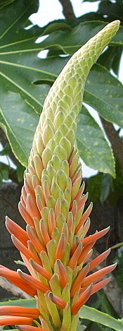 c0138198_14263248.jpg