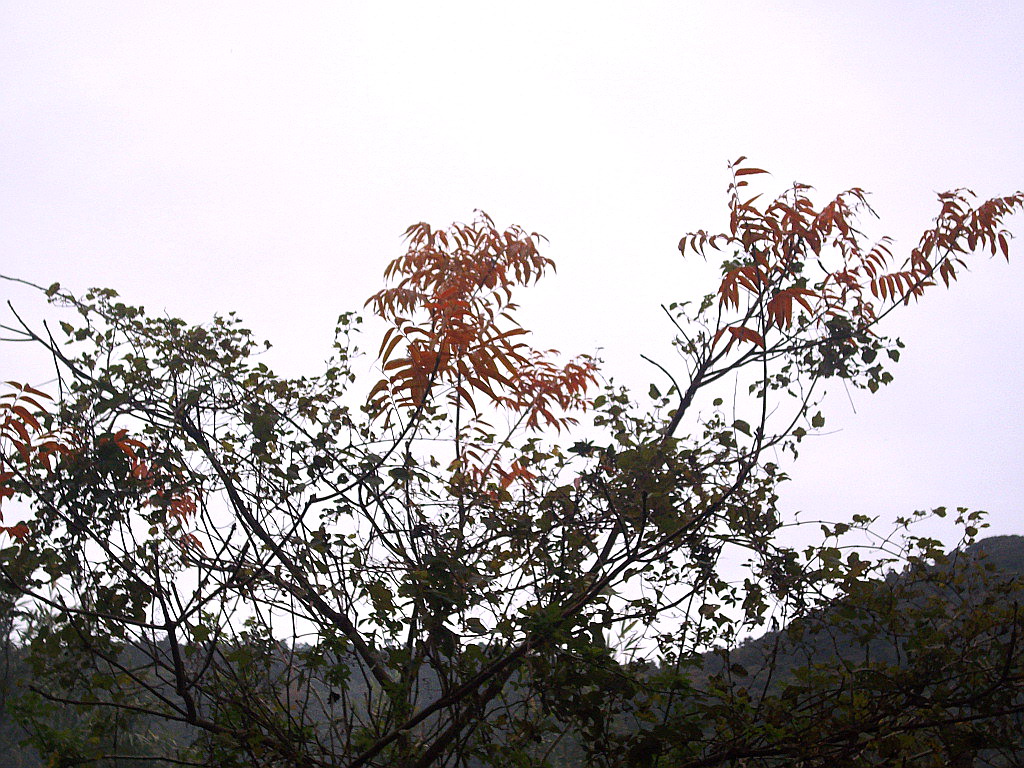 c0138198_14364727.jpg