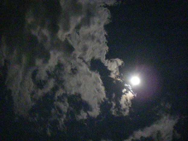 c0068901_2339211.jpg
