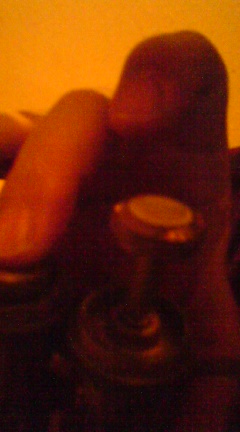 c0202101_1543695.jpg