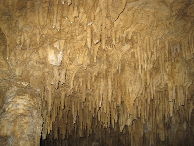 e0183804_053147.jpg