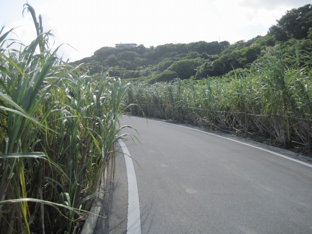 e0183804_0572221.jpg