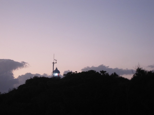 e0183804_11937.jpg