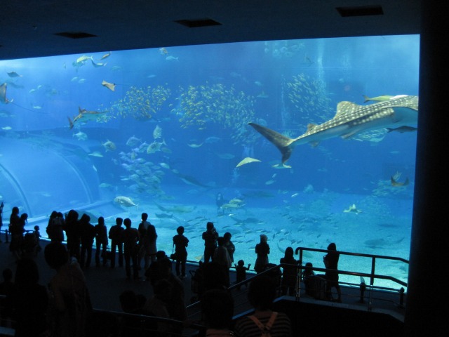 e0183804_1361145.jpg