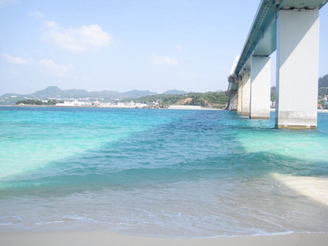 e0183804_140543.jpg