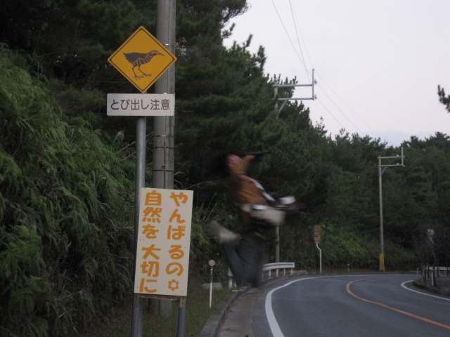 e0183804_148277.jpg
