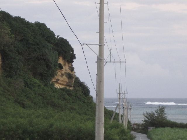 e0183804_156348.jpg