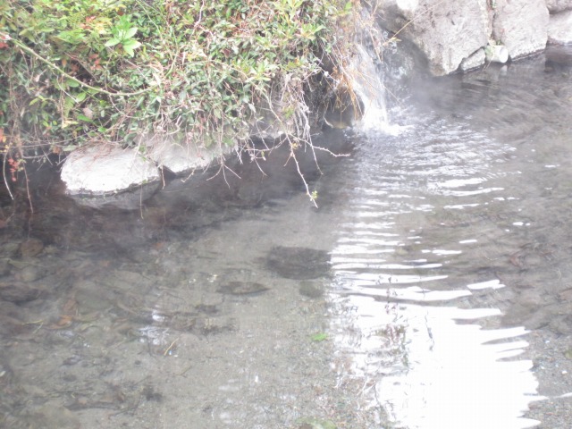 e0183804_225214.jpg