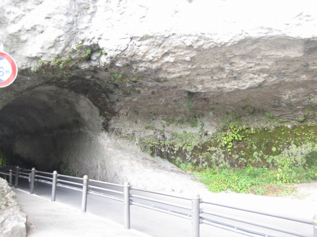 e0183804_2313525.jpg