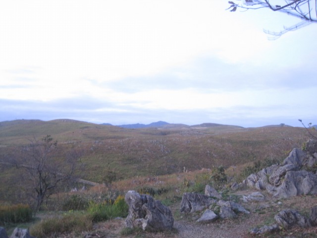 e0183804_23565971.jpg