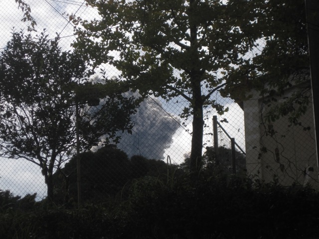 e0183804_3572420.jpg
