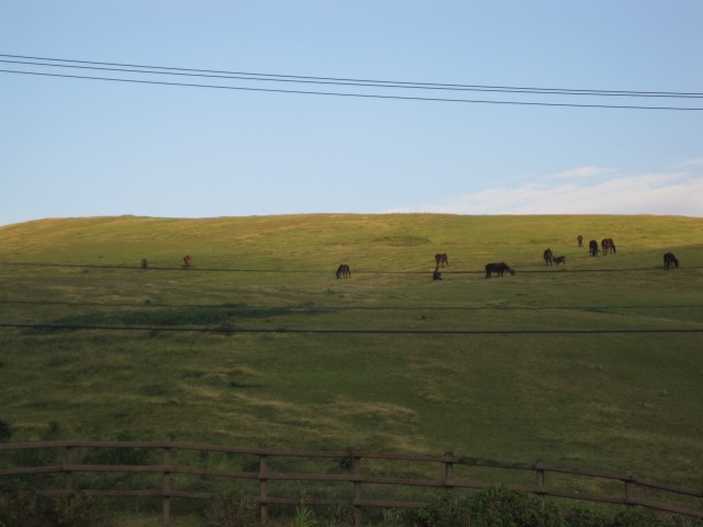 e0183804_4404097.jpg