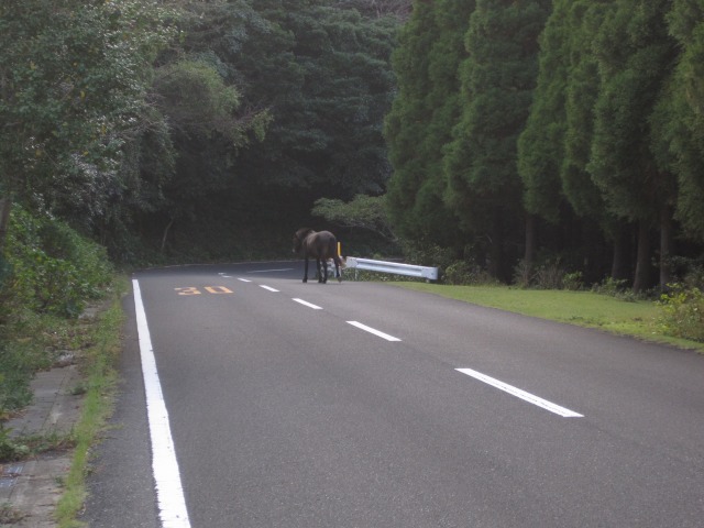 e0183804_440897.jpg