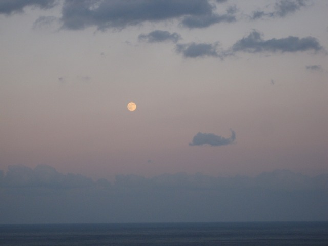e0183804_4414975.jpg