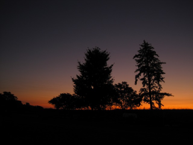 e0183804_6415516.jpg