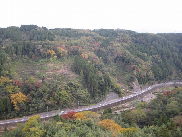 e0183804_6462291.jpg