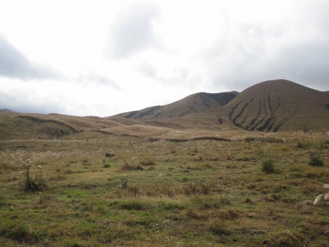 e0183804_7415521.jpg