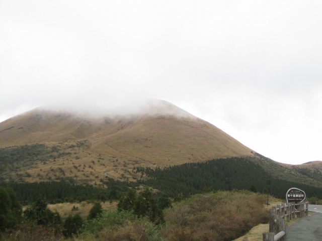 e0183804_743220.jpg