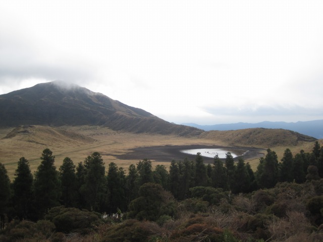 e0183804_7433284.jpg