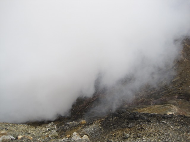 e0183804_748533.jpg