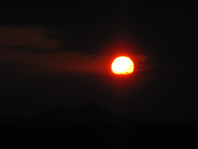 e0183804_75255.jpg