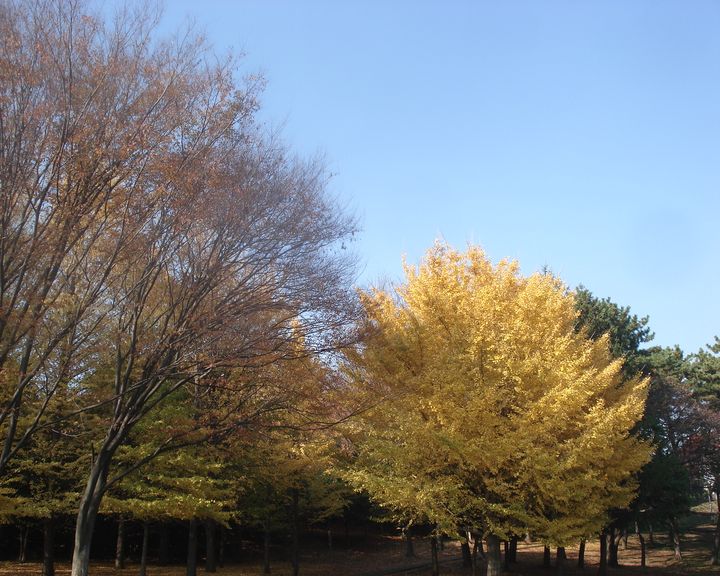 f0084806_22454636.jpg