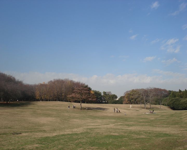 f0084806_22484377.jpg
