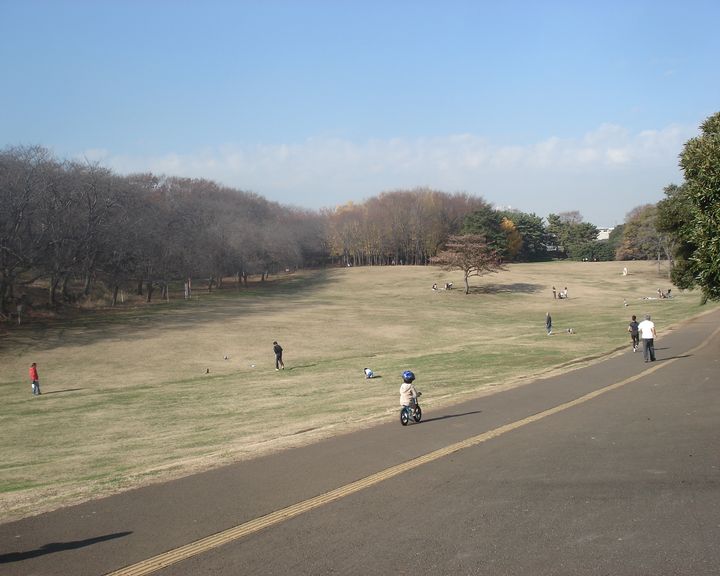 f0084806_22523455.jpg
