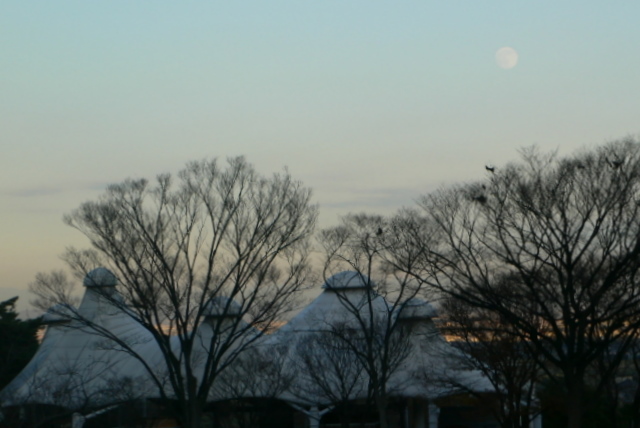 f0167007_8355210.jpg