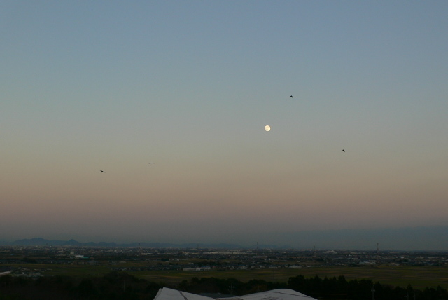 f0167007_8475214.jpg
