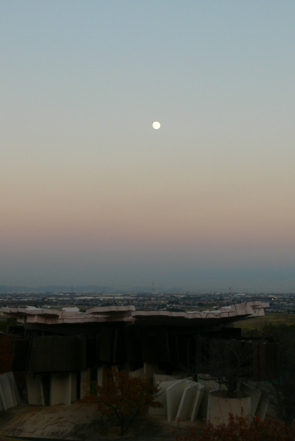 f0167007_8482796.jpg