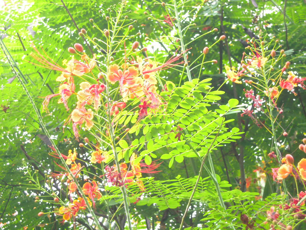 c0132608_22302820.jpg