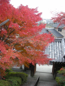 c0145209_2153286.jpg
