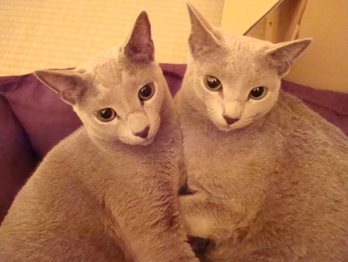 c0125114_1248971.jpg