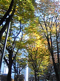 d0018315_1053838.jpg