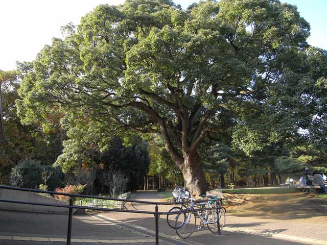 e0049318_13373282.jpg