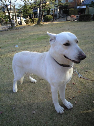 e0123920_1626072.jpg