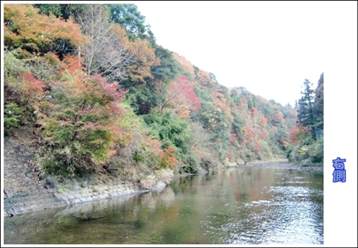 f0182121_9195879.jpg