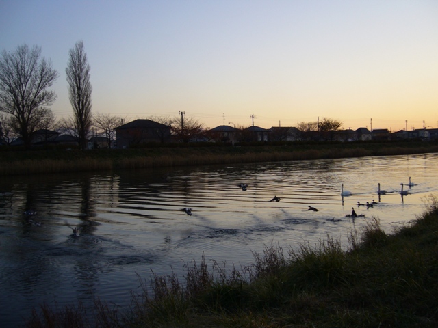 a0061023_1924366.jpg