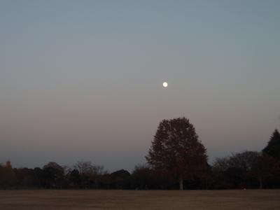 f0163928_17242519.jpg