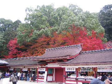 c0020830_22511339.jpg
