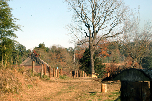 c0192930_9193975.jpg